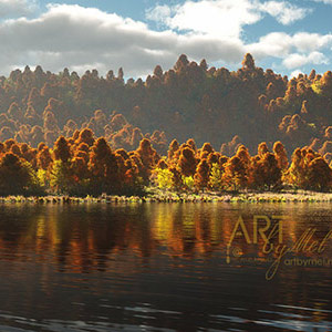 Reflections of Autumn